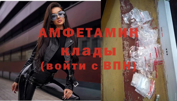 хмурый Алзамай