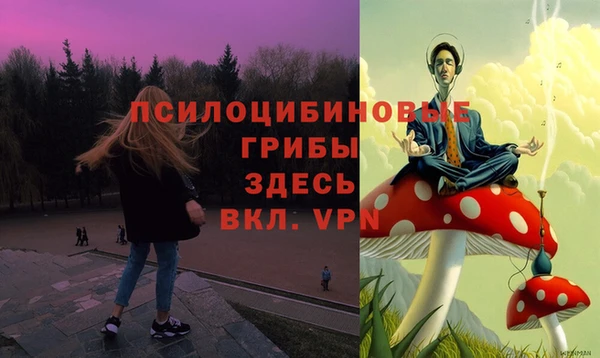 хмурый Алзамай
