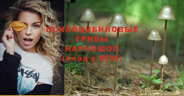ALPHA-PVP Алексеевка