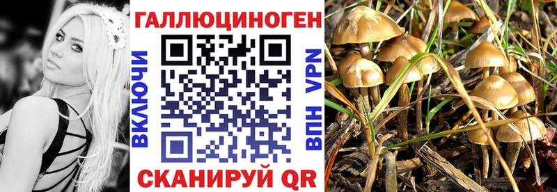 Галлюциногенные грибы Cubensis  Протвино 